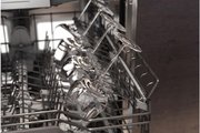 Встраиваемая посудомоечная машина Gaggenau DF481100 фото 4 в Челябинске