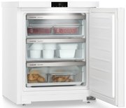 Морозильник Liebherr Fe 1003 фото 2 в Челябинске