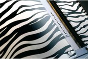 Вытяжка Falmec Mirabilia 67 Zebra Vetro (800) ECP фото 2 в Челябинске