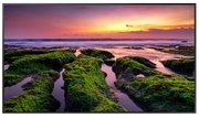 Панель Samsung LH75QBBEBGCXCI фото в Челябинске