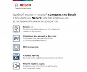 Холодильник с нижней морозильной камерой BOSCH KGE39XL22R фото 2 в Челябинске