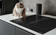 Индукционная варочная панель Zigmund Shtain CIS 303.60 BX с вытяжкой фото 4 в Челябинске