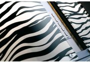 Вытяжка Falmec Mirabilia Isola 67 Zebra Vetro (800) ECP фото 2 в Челябинске