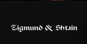 Духовой шкаф Zigmund Shtain EN 121.921 B фото 4 в Челябинске