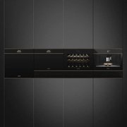 Духовой шкаф комбинированный с микроволновой печью Smeg SF4604PMCNR фото 3 в Челябинске
