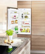 Встраиваемый холодильник Liebherr IK 1950 Premium фото 2 в Челябинске