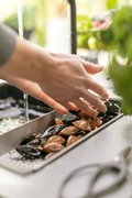 Коландер для кухонной мойки Франке 112.0066.060 фото 4 в Челябинске Коландер для кухонной мойки Franke 112.0066.060 фото 4 в Челябинске