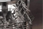 Встраиваемая посудомоечная машина Gaggenau DF480100F фото 4 в Челябинске