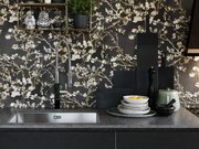 Мойка Franke BXX 210/110-68 полированная нержавеющая сталь фото 2 в Челябинске