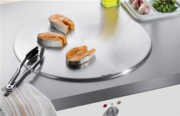 Тепан Miele CT 400 P фото 2 в Челябинске