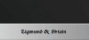Духовой шкаф Zigmund Shtain EN 59.511 B фото 3 в Челябинске