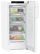 Холодильник Liebherr RBa 4250 фото 2 в Челябинске