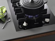 Элемент панели SmartLine Miele CS7102-1 FL фото 4 в Челябинске