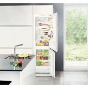 Холодильник Liebherr ICP 3314 фото 3 в Челябинске