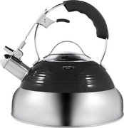 Чайник Maunfeld MRK-119BK фото в Челябинске