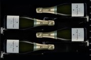 Винный шкаф Dunavox DX-58.258DB фото 3 в Челябинске