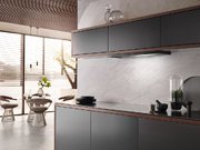 Встраиваемая вытяжка Miele DAS 2920 черный матовый фото 3 в Челябинске