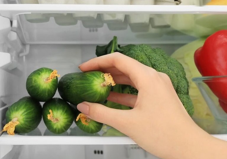 Можно ли, как и сколько хранить огурцы в холодильнике