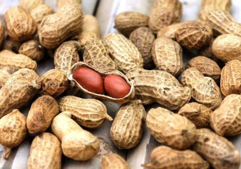 Можно ли, как и сколько хранить арахис в холодильнике?