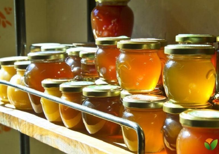 Можно ли, как и сколько хранить мед в холодильнике?