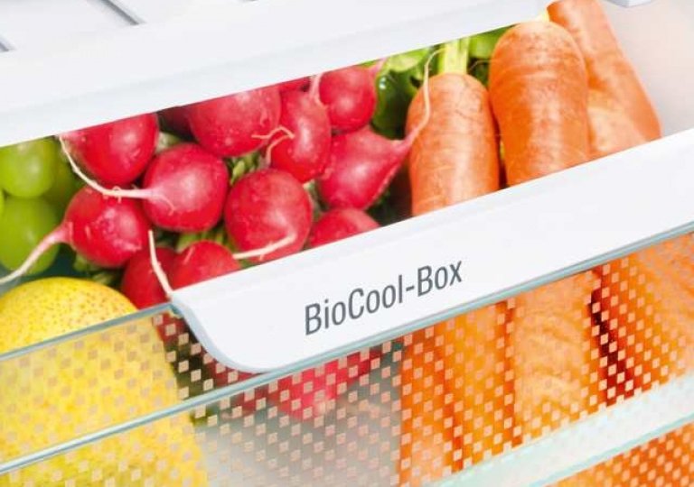 Лучшие по цене и качеству холодильники 2024 года Лучшие по цене и качеству холодильники 2024 года