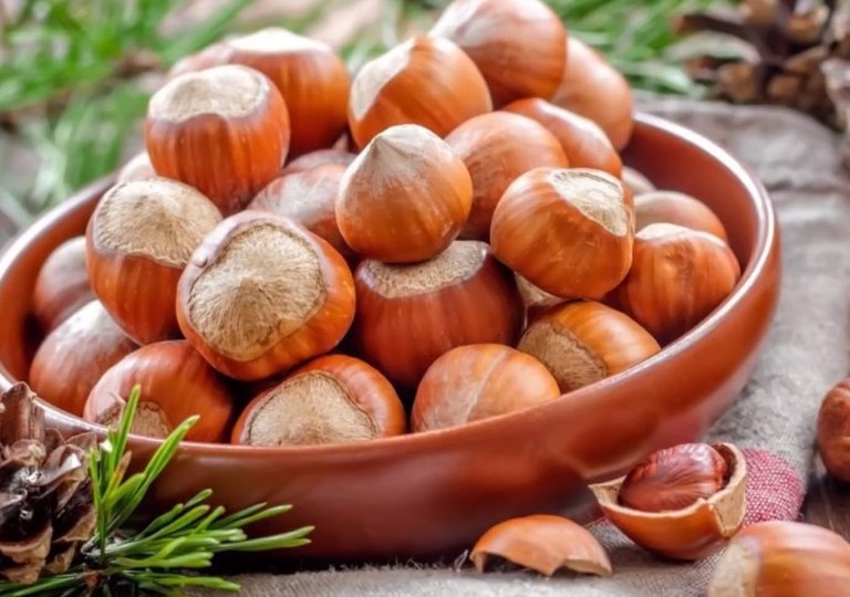 Можно ли, как и сколько хранить фундук в холодильнике?