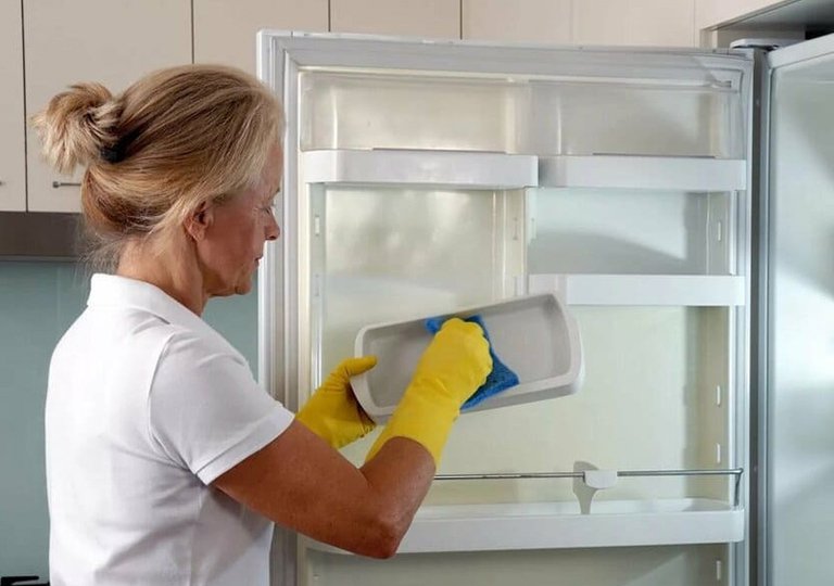 Чем помыть холодильник от плесени