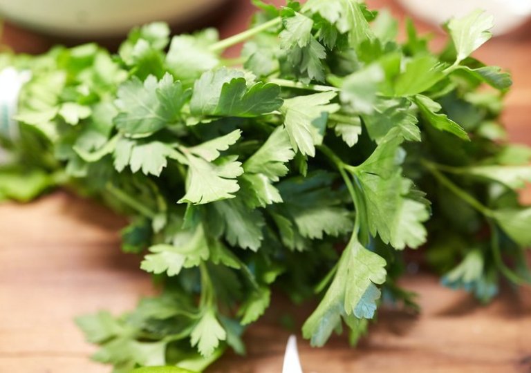 Можно ли, как и сколько хранить петрушку в холодильнике