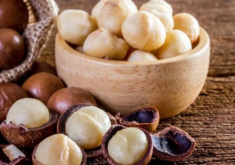 Можно ли, как и сколько хранить макадамию в холодильнике?