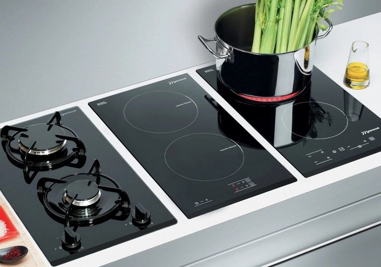 Какую варочную панель выбрать: газовую или электрическую?